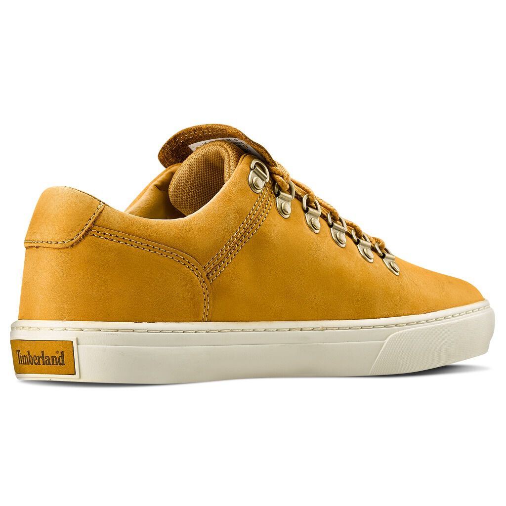 Timberland cupsole alpine ox top