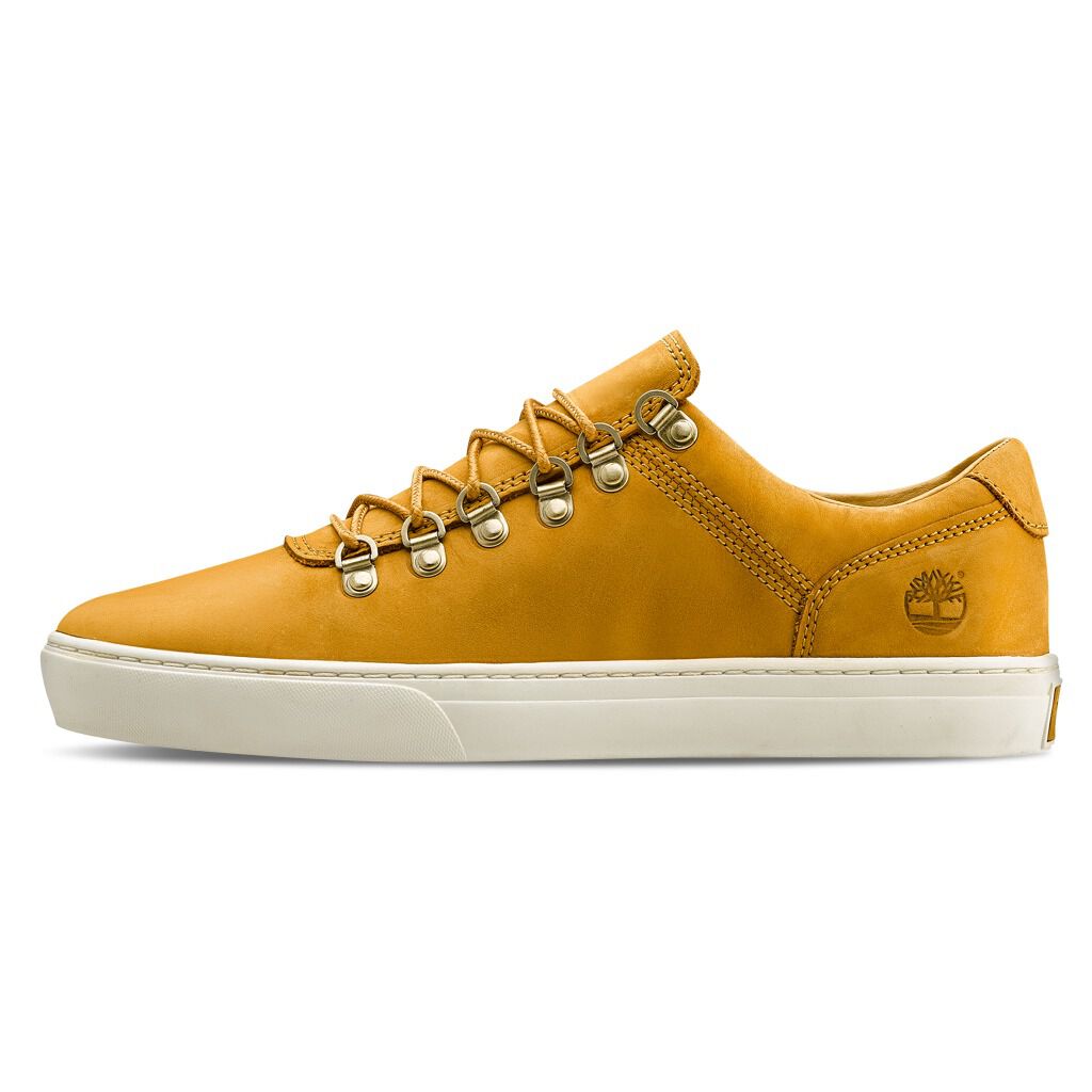 Timberland cupsole 2.0 alpine new arrivals