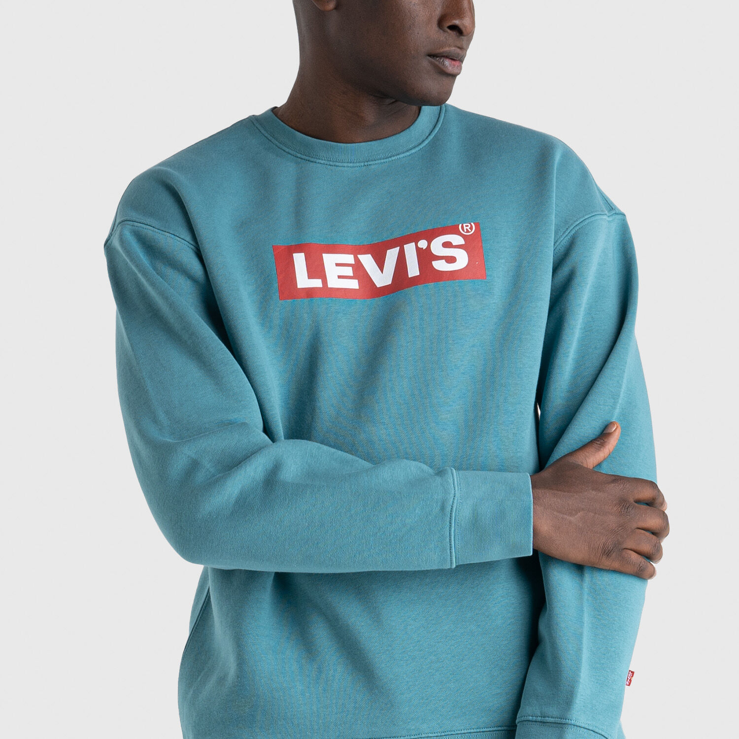 Levis graphic shop big sleeve sweatshirt