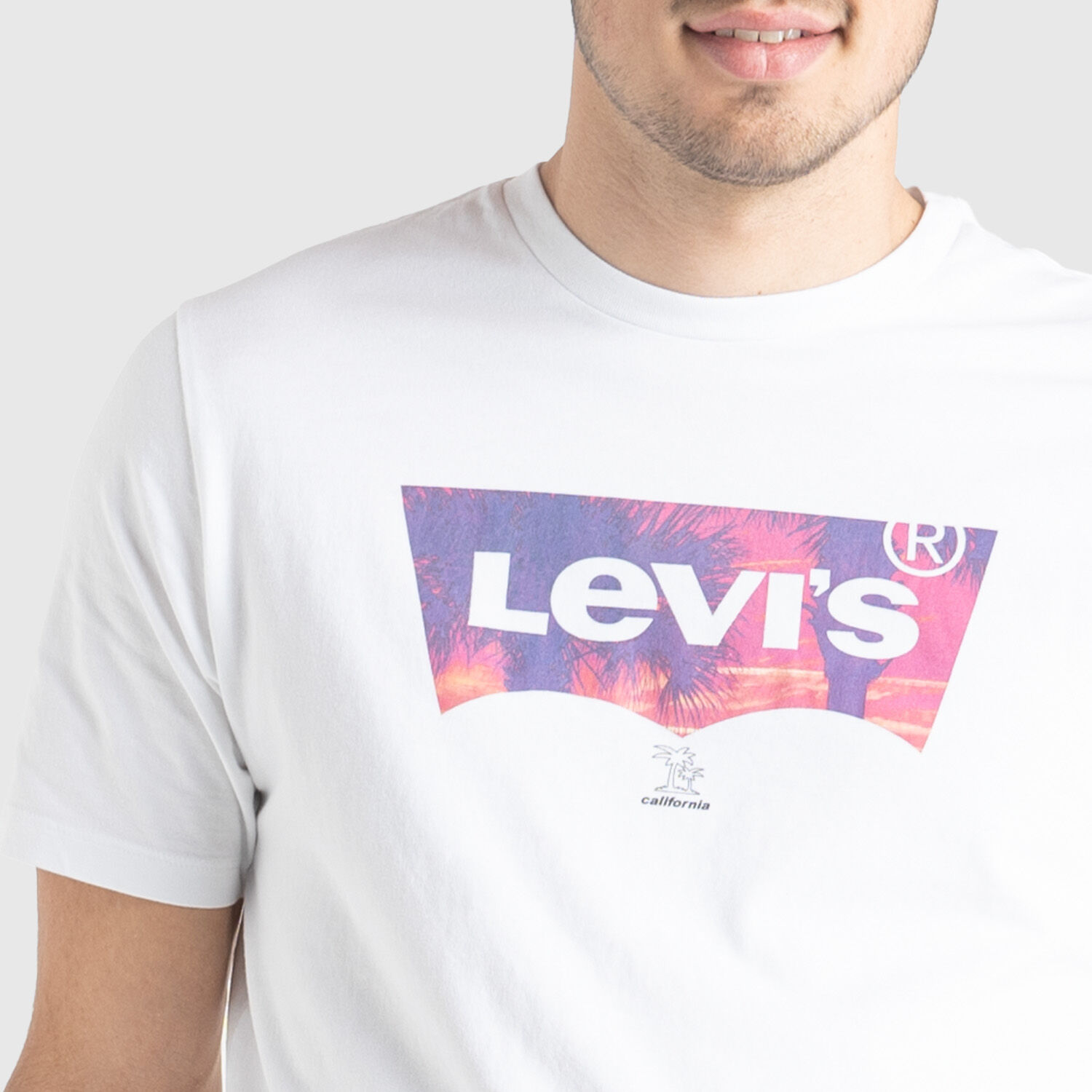 Levi s Graphic Crewneck Tee T shirt white AW LAB
