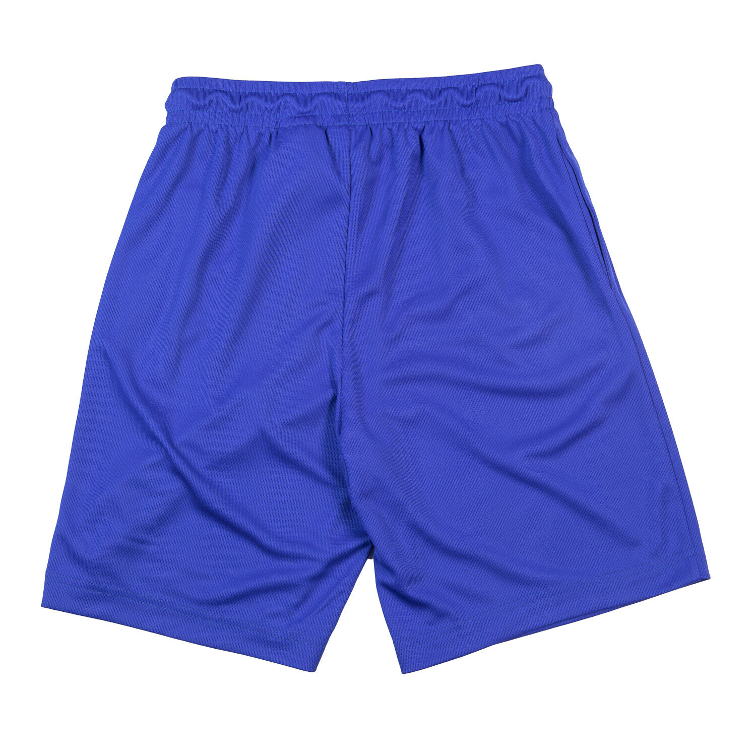 Royal blue store jordan shorts