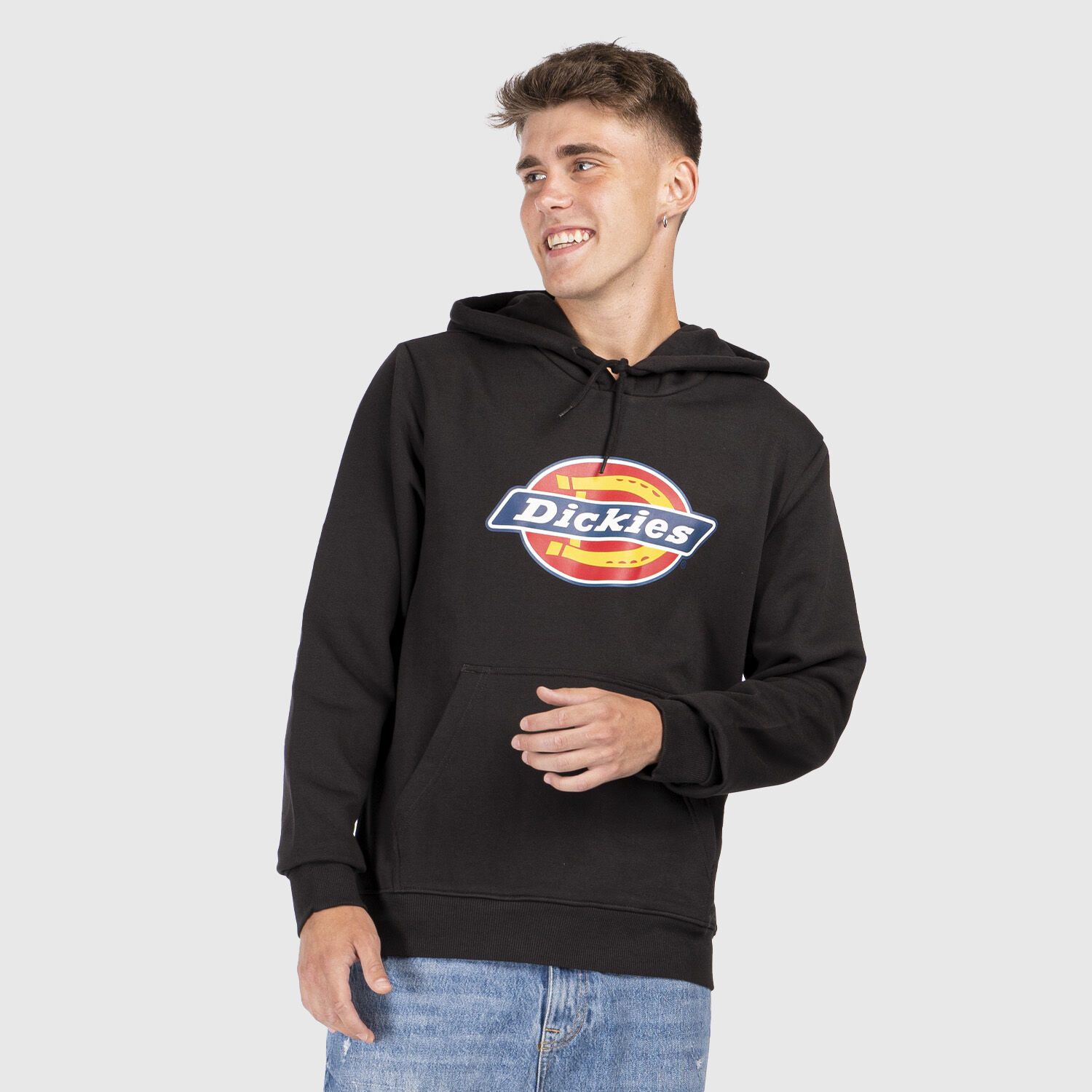 Dickies Icon Logo Hoodie multicolor AW LAB