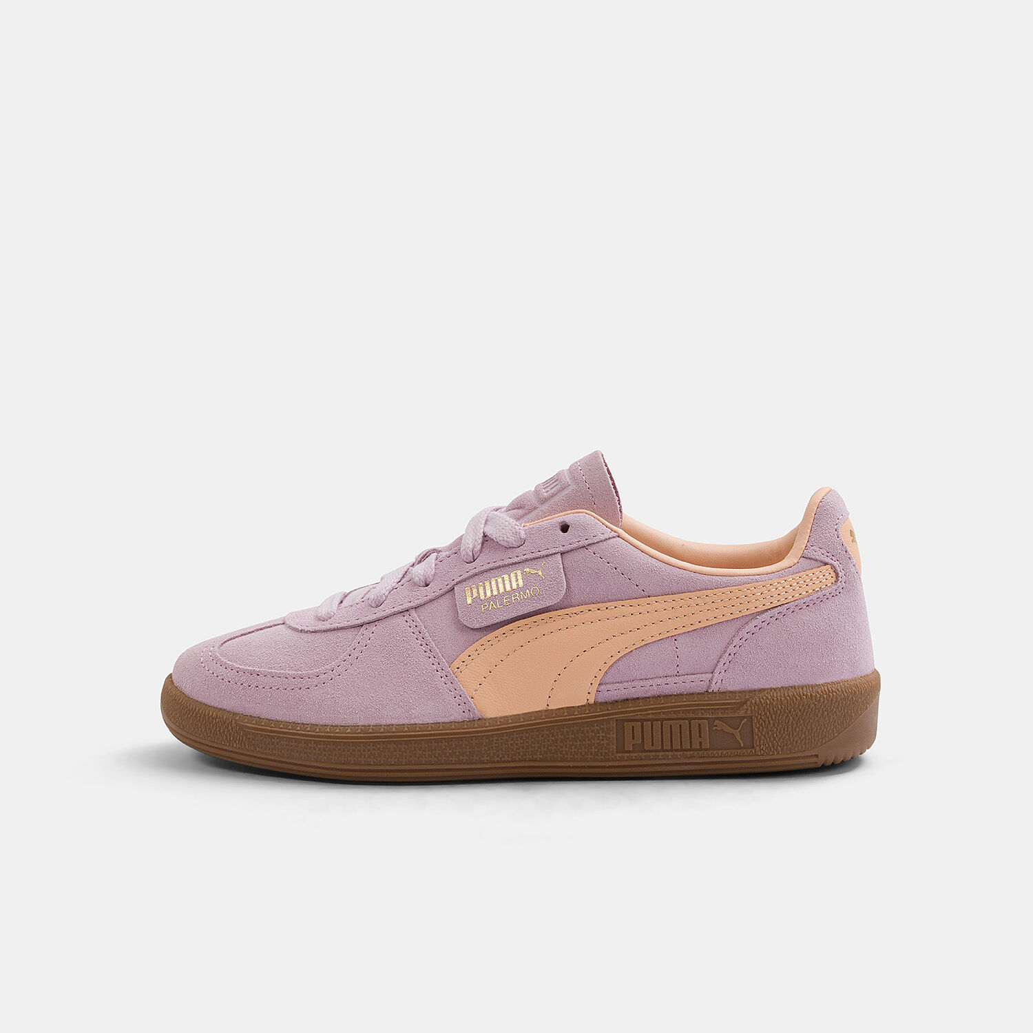 Aw lab puma 2025