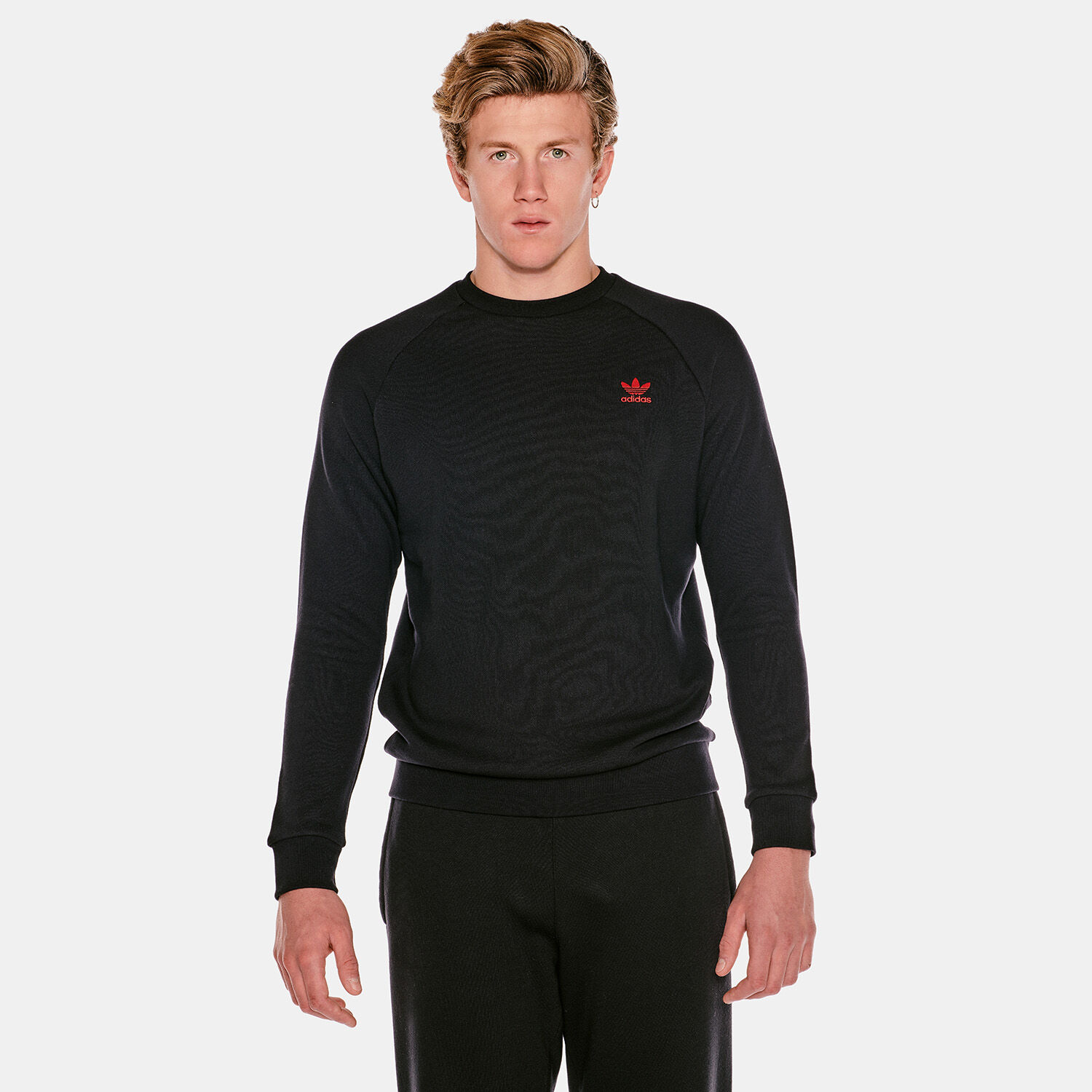 Adidas originals premium basics crew sweatshirt 2025